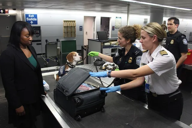 Customs and Immigrations